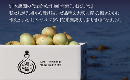10kg オリジナルブランド 玉葱 洲錦 (しまにしき) 商標登録商品 玉ねぎ タマネギ 野菜 旬の野菜 季節の野菜 兵庫県 洲本市 淡路島