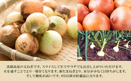 淡路島産 玉ねぎ 4kg たまねぎ タマネギ 甘い 野菜 旬の野菜 季節の野菜 兵庫県 洲本市 淡路島