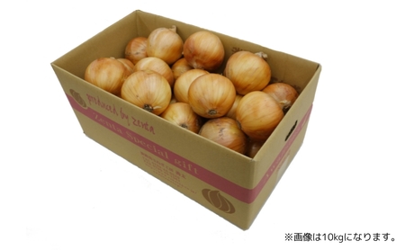 淡路島産玉ねぎ 18kg 野菜 淡路島産 玉ねぎ 玉葱 善太 兵庫県 洲本市 淡路島