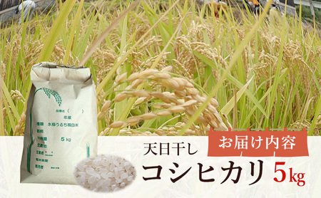 とみた農園 天日干し コシヒカリ 5kg 米 白米 精米 こめ お米 コメ コシヒカリ5キロ こしひかり 5キロ 米5キロ 淡路島産 洲本市　お届け：10月初旬より発送開始