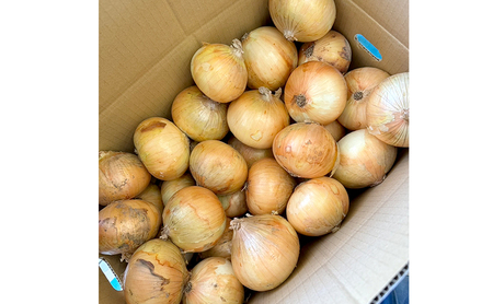 淡路島産 たまねぎ 5kg 玉ねぎ 玉葱 タマネギ 甘い 野菜 兵庫県 洲本市 淡路島