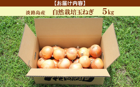 自然栽培 玉ねぎ 5kg セット 詰め合わせ 淡路島産 栽培期間中 無肥料 無農薬 淡路島産玉ねぎ 淡路島玉ねぎ 野菜 玉葱 洲本市　お届け：5月～10月