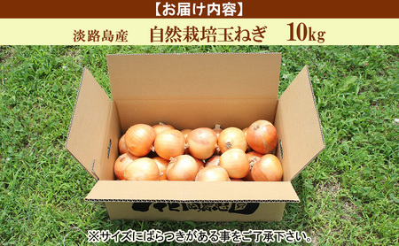 自然栽培 玉ねぎ 10kg セット 詰め合わせ 淡路島産 栽培期間中 無肥料 無農薬 淡路島産玉ねぎ 淡路島玉ねぎ 野菜 玉葱 洲本市　お届け：2025年5月上旬～2025年11月下旬