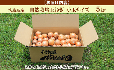 栽培期間中 花岡農恵園 自然栽培 玉ねぎ 小玉サイズ 5kg 野菜 無肥料 無農薬 淡路島 洲本市　お届け：5月～10月