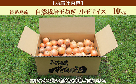 栽培期間中 花岡農恵園 自然栽培 玉ねぎ 小玉サイズ 10kg 野菜 無肥料 無農薬 淡路島 洲本市　お届け：5月～10月