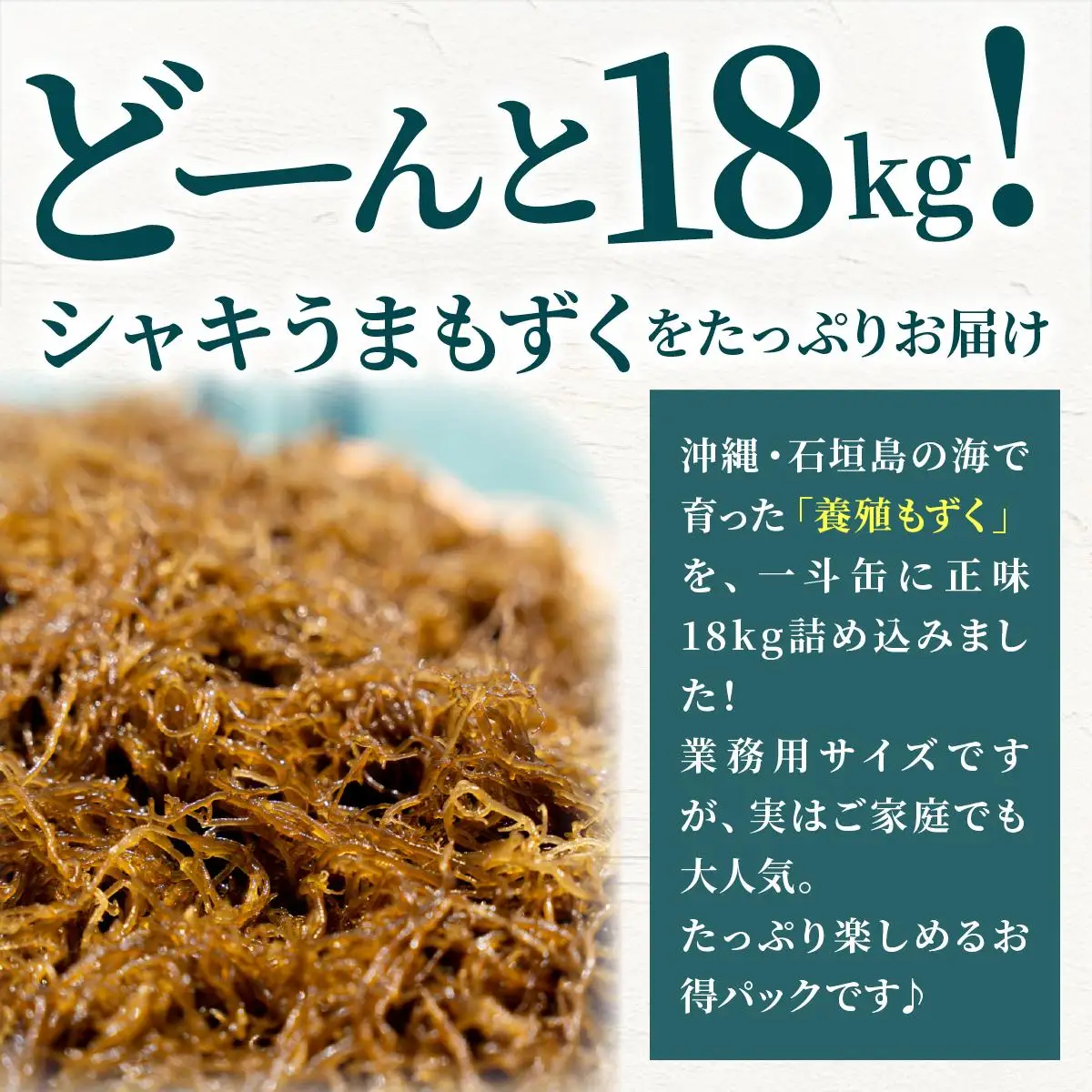 石垣島産・塩もずく（業務用一斗缶・18kg） KS-12
