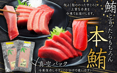 天然 本鮪 中とろ 2柵 ・ 赤身 2柵 M007-008-01 冷凍 マグロ