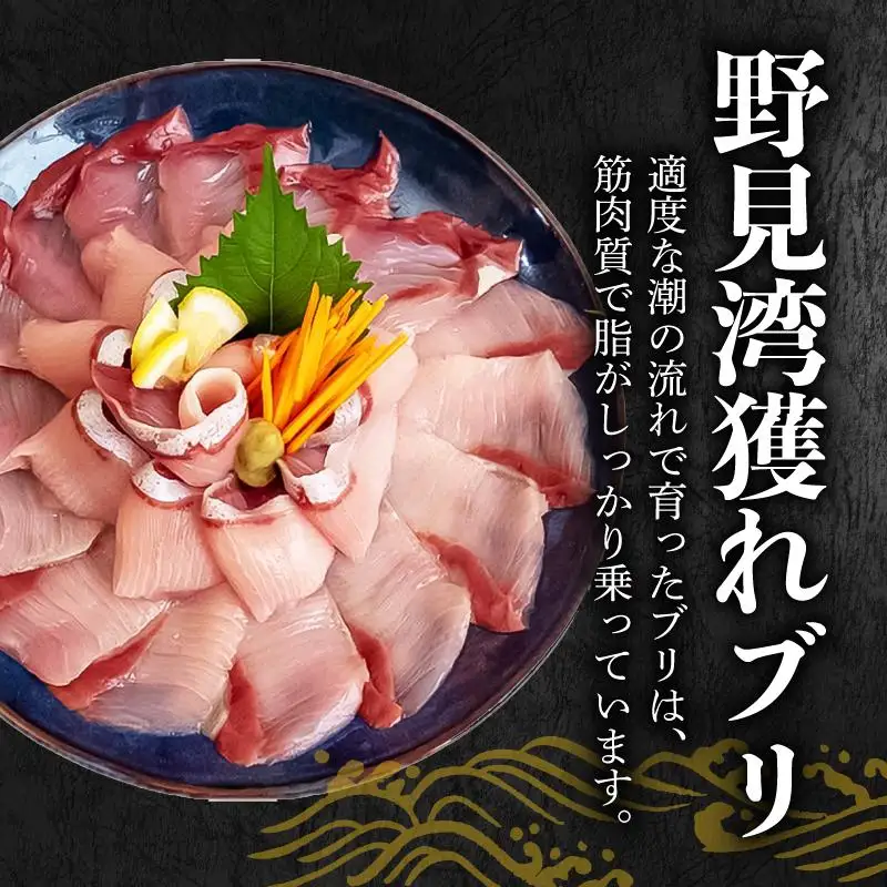 【 ブリ 】 ブリしゃぶしゃぶ1パック