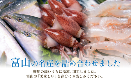 富山湾三大名物・極 鰤 ホタルイカ 白えび つめ合わせ ブリ ほたるいか 富山県 氷見市　ホタルイカ