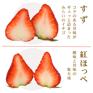 冷凍いちご 1000g いちご 冷凍いちご 【極実屋】