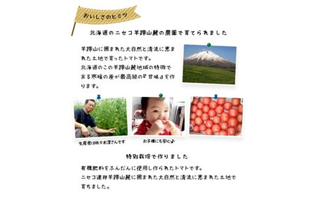 ＜早期予約・数量限定＞北海道ニセコ町 贅沢トマト4kg【2026年産】【32005】
