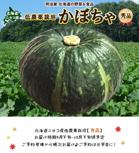 〈早期予約・数量限定〉北海道ニセコ町 かぼちゃ5kg【2026年産】【3200602】