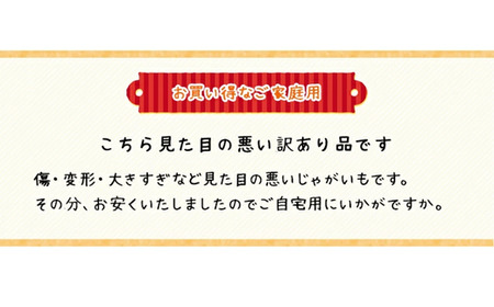 〈早期予約・数量限定〉北海道ニセコ町 訳ありじゃがいも男爵10kg【2026年産】【3201002】