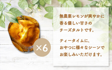 【ニセコ町】奥土農場の薪窯焼チーズタルト×6個セット【42013】