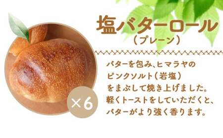 【ニセコ町】奥土農場の薪窯焼き塩バターロール（プレーン） 6個【42018】