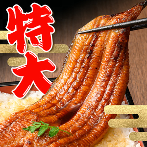 【3回定期便(隔月)】鹿児島県産 うなぎ蒲焼 特大 サイズ 2尾セット＜（約220g×2・計約440g）×全3回＞  【薩摩川内鰻】 i1172-B