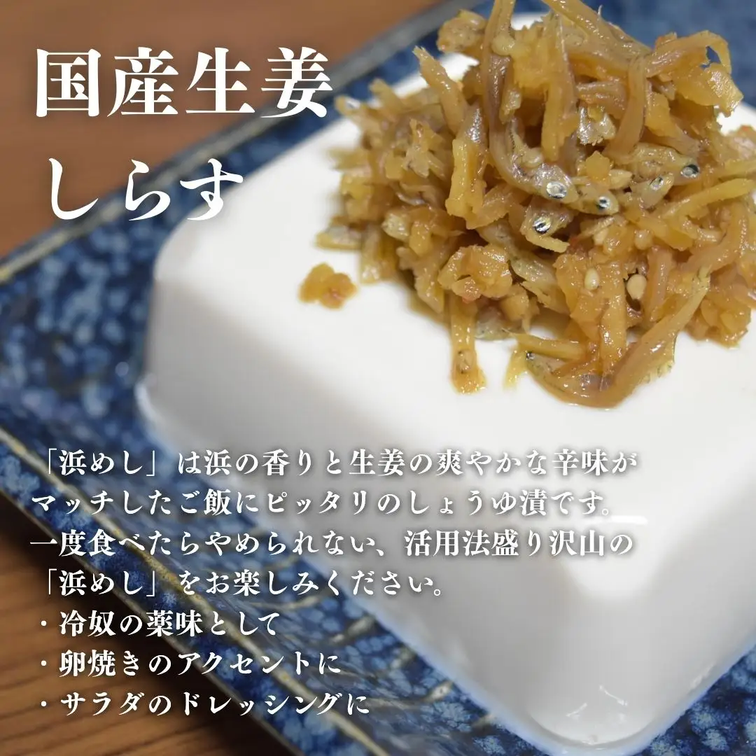 浜めししらす生姜 120g×5袋 ｜ 漬物 しらす ご飯のお供 香の蔵
