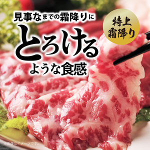 このみ桜プレミアム４点セット　6回定期便_このみ桜 馬刺し 6回 定期便 プレミアム 4点 セット ほんのり 甘い 赤身 上赤身 とろける 食感 特上霜降り バラ肉 希少部位 ふたえご ゼラチン質 真っ白 たてがみ 馬肉 〔Tk066〕