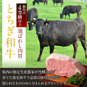とちぎ和牛 ローストビーフ 200g  ｜ 牛肉 和牛  肉 ブランド牛 高級 ローストビーフ 栃木県共通返礼品