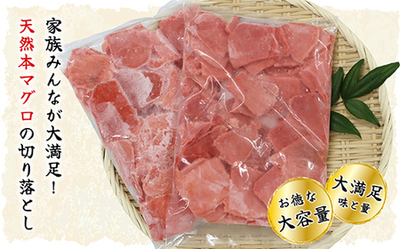 天然本マグロ 切り落とし 大容量パック １ｋｇ ( ５００ｇ×２袋 ) 天然まぐろ 本マグロ 刺身 中トロ 赤身 まぐろ丼 家族みんなで 手巻き寿司 寿司 天然 まぐろ マグロ 簡単 時短 冷凍 魚介 海鮮 トロ 鮪 人気 返礼品 三重県 尾鷲市 CH-107