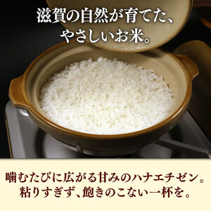 令和7年産 ハナエチゼン 10kg 滋賀県 彦根市