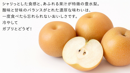 豊水 梨 5kg （8～12玉）【2026年9月より発送開始】（茨城県共通返礼品 [梨]：大子町産）