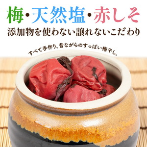 自家製 梅干し 4パック 合計720g (180g×4) 世羅産 大粒 梅 梅干 赤しそ 昔ながらの梅干し すっぱい梅 しょっぱい梅 しそ梅 ウメ うめ漬 うめぼし 無添加 保存料不使用 手作り おにぎり 朝食 お弁当 ご飯のお供 世羅 太平牧場 A035-03