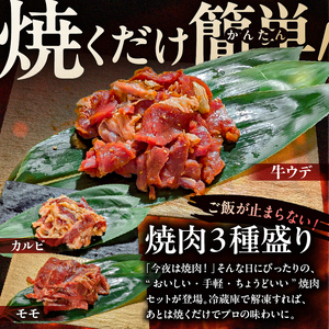 焼肉セット 3種 （醤油）【195016】 味付け 醤油 簡単 600g BBQ バーベキュー 牛モモ 牛カルビ 牛ウデ 小分け 冷凍保存