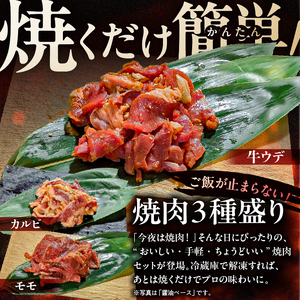 焼肉セット 3種 （味噌）【195017】 味付け 味噌 簡単 600g BBQ バーベキュー 牛モモ 牛カルビ 牛ウデ 小分け 冷凍保存