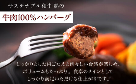 ハンバーグ 銀のハンバーグ デミグラスソース 150g×4個 [AIAT020] ハンバーグ