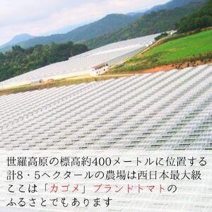 トマトのノンオイルドレッシング6本セット 調味料 セット ドレッシング サラダ トマト とまと 広島 世羅 A007-13