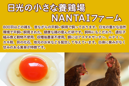 [定期便／3ヵ月] 平飼い新鮮卵「鬼怒」40個×3回 計120個 白身も美味い！ [0724]