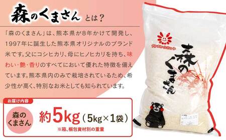 令和7年産 精米 新米 森のくまさん 5kg 【2025年11月上旬から発送予定】 JA熊本うき