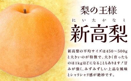 新高梨 約4kg 【配送不可地域あり】梨 なし