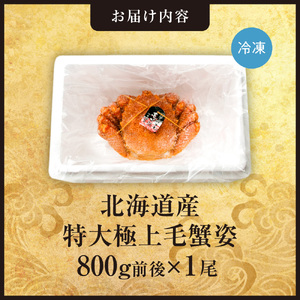 特大極上毛蟹姿　800g前後×1尾 北海道 毛蟹