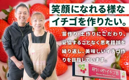 【いちご】3ヶ月定期便 やよいひめ いちご 800g×3回 2027年 先行予約 群馬県 前橋市