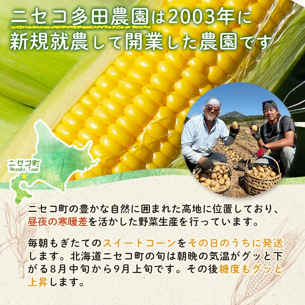 【とうもろこし数量限定先行受付！】多田農園のとうもろこし　サニーショコラ・ライラ10本【5100501】