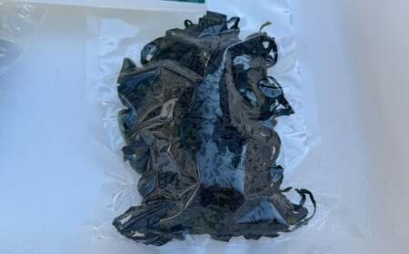 茎あり 塩蔵わかめ 約2.0kg 約400g×5袋セット 海藻 ワカメ 茎わかめ 茎ワカメ