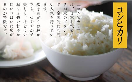 令和7年産《2025年10月下旬以降順次発送》「コシヒカリ」10kg 米 精米 コシヒカリ こしひかり お米 こめ コメ 10kg 白米 ご飯  おすすめ お中元 お歳暮 ギフト 昭和村 ふくしま 福島県 送料無料 米 米 米 米【道の駅からむし織の里しょうわ】