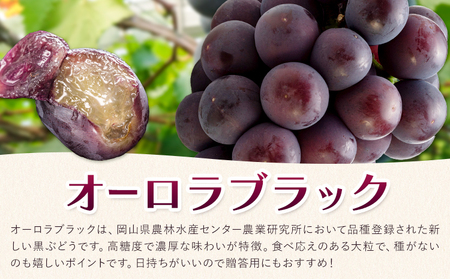 オーロラブラック 2房【配送不可地域あり】ぶどう