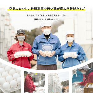 世羅高原たまご 小玉白 108個(100個＋破卵保障8個入り) 津口ファーム たまご 玉子 生卵 鶏卵 卵 卵かけご飯 TKG ゆでたまご 世羅 A015-01