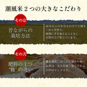 こしひかり 5kg 玄米 令和7年産 潮風米 ご飯 おにぎり ごはん お弁当 ギフト 贈答 プレゼント お取り寄せ グルメ 保存 防災 備蓄 送料無料 徳島 小松島