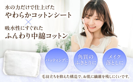 【2回定期便】レジェールパフ(封入タイプ 箱入) 80枚×4個 BKCL002 コットン