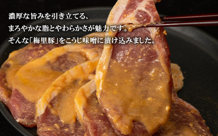 662 豚肉 こうじ味噌漬け 600g（梅里豚）冷凍