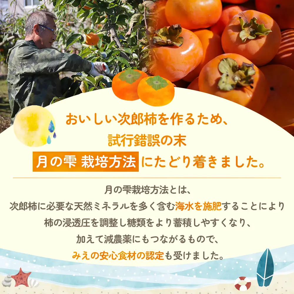 【令和8年産柿/先行予約】三重の安心食材認定！中村農園の次郎柿 M・Lサイズ　22個 (約5～6㎏)　NN-03 