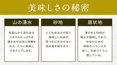 【 令和7年産 】 コシヒカリ ・ にじのきらめき 食べ比べ セット 合計10kg (各5kg)  [AX014sa]