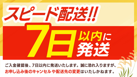 【 令和7年産 】 コシヒカリ ・ あきたこまち 食べ比べ セット 《 精米 》 合計10kg (各5kg)（茨城県共通返礼品 かすみがうら市産）  [EX013sa]