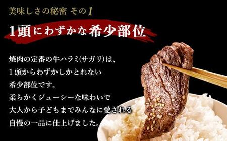 【6回定期便】やわらか 牛ハラミ（サガリ）肉 極旨秘伝醤油タレ漬け600g（300g×2袋）×6回 訳あり ハラミ 牛肉 個包装 焼肉 BS-850