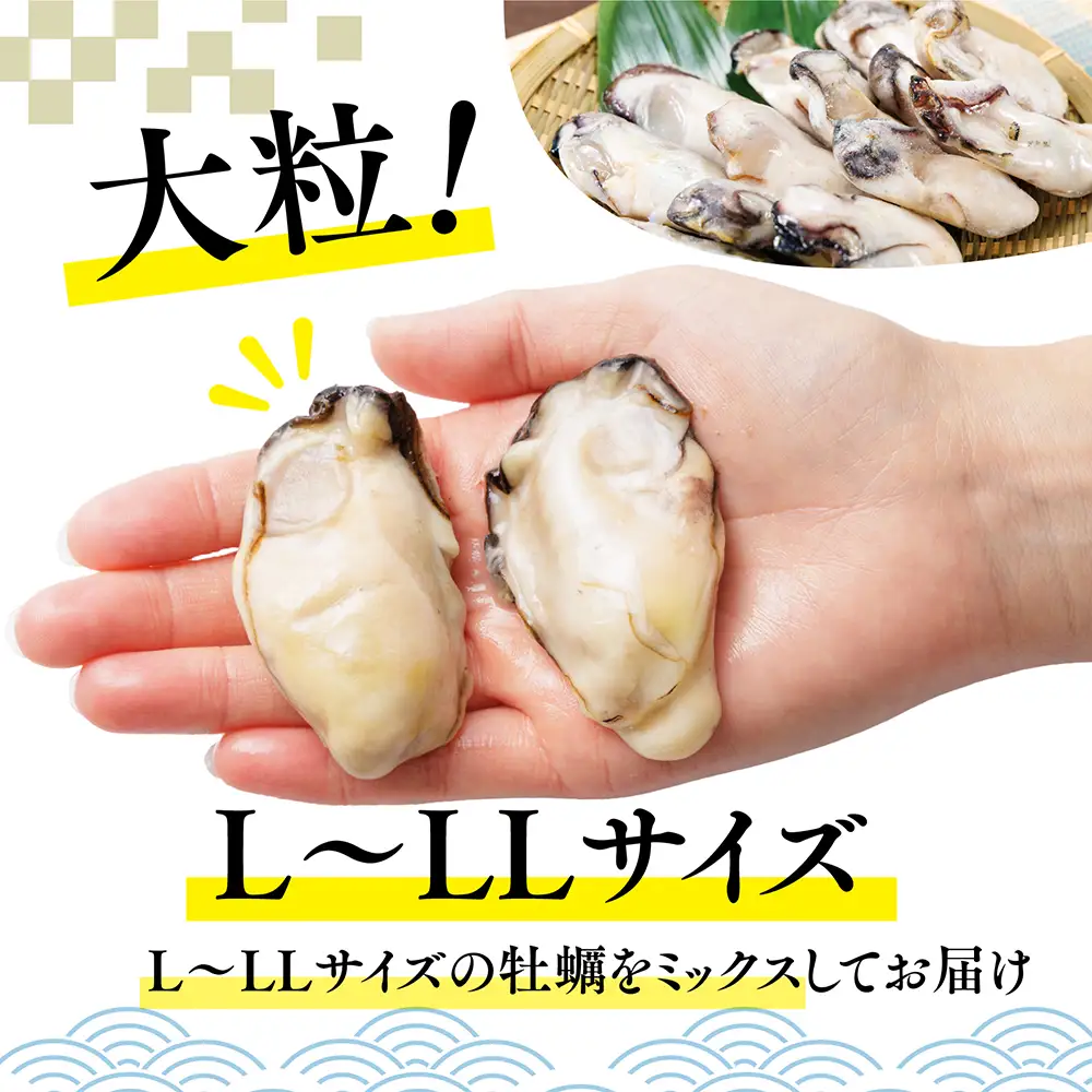 急速冷凍！ 国産牡蠣1.5kg（500g×3袋）冷凍 加熱用 殻なし 牡蠣フライ・鍋に◎ 国産 牡蠣 海鮮 急速凍結 鍋 の季節に もつ鍋 水炊き 寄せ鍋 にも合う 小分け カキフライ 牡蠣フライ グラタン にも最適！時短  福岡県 赤村 4S2