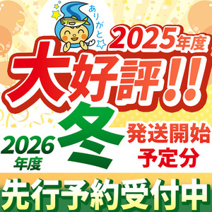 【先行予約】那珂川町産とちあいか 270ｇ×4Ｐ×3 | 2026年 2027年 先行予約 苺 イチゴ 大粒 甘い 贈答用 数量限定 果物 フルーツデザート 人気 贅沢 たっぷり 大容量 朝採れ当日発送 栃木県 那珂川町 送料無料